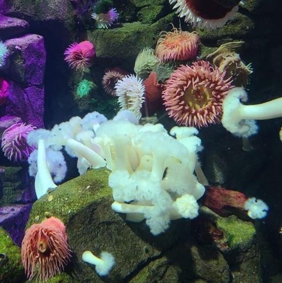 Meet your Posher, Colleen - Picture 1 of 1